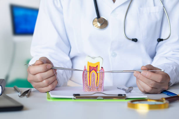 Best Pediatric Emergency Dentist in Jeffersonville, OH